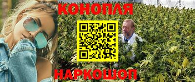 гидропоника Можайск