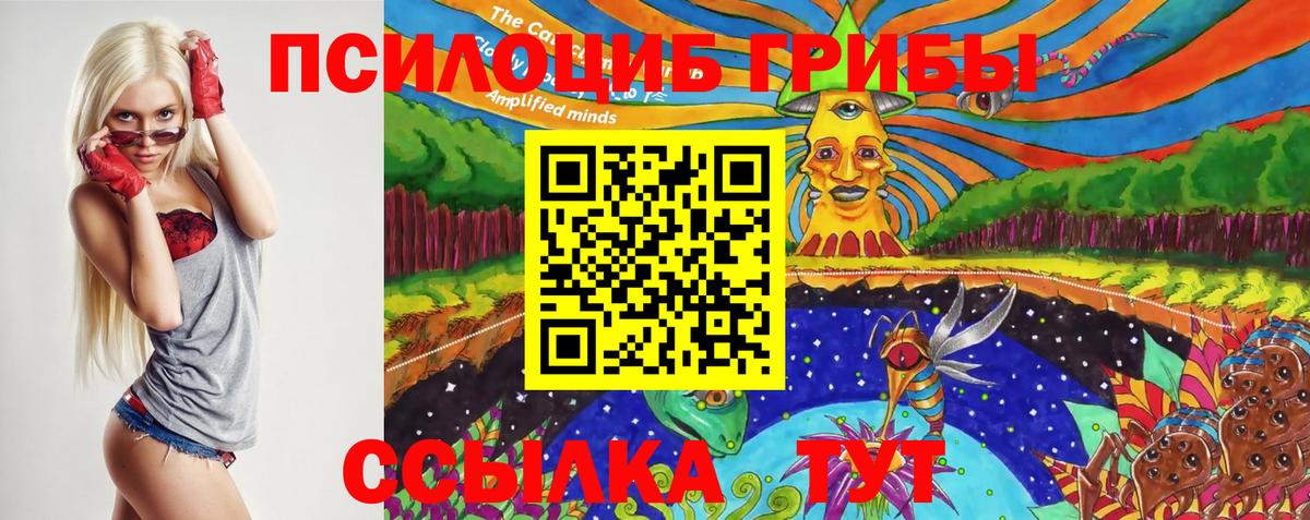 Гуково  Галлюциногенные грибы Cubensis  Вход с VPN 