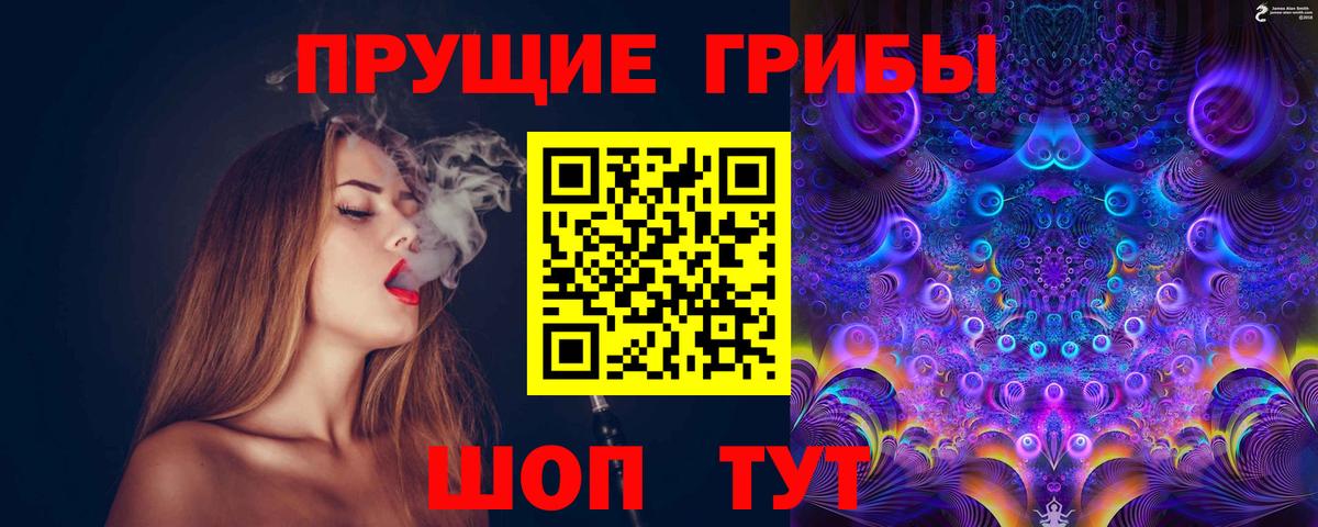 Псилоцибиновые грибы Psilocybe Гуково