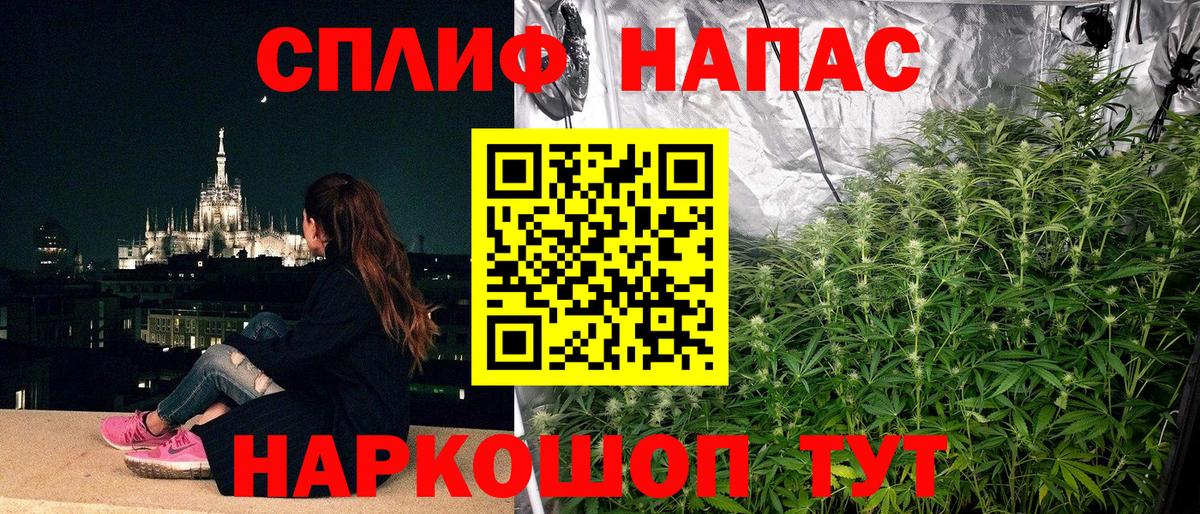 Гуково  Каннабис сатива  Вход с VPN  Бошки марихуана OG Kush  Шишки марихуана SATIVA & INDICA 